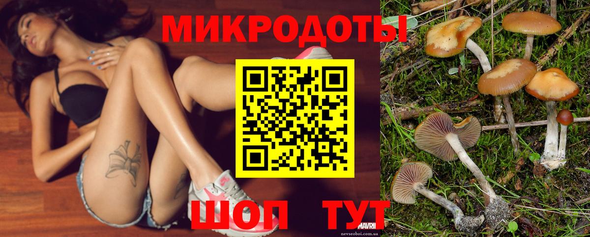 Галлюциногенные грибы MAGIC MUSHROOMS  Галлюциногенные грибы Psilocybine cubensis  Междуреченск  Вход с VPN 