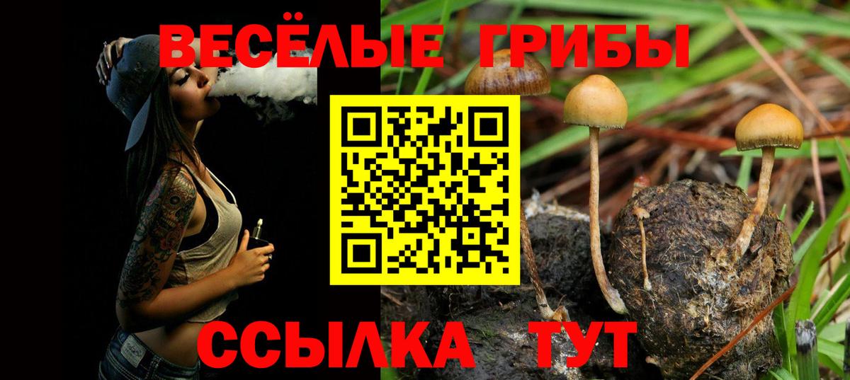 Псилоцибиновые грибы MAGIC MUSHROOMS Междуреченск